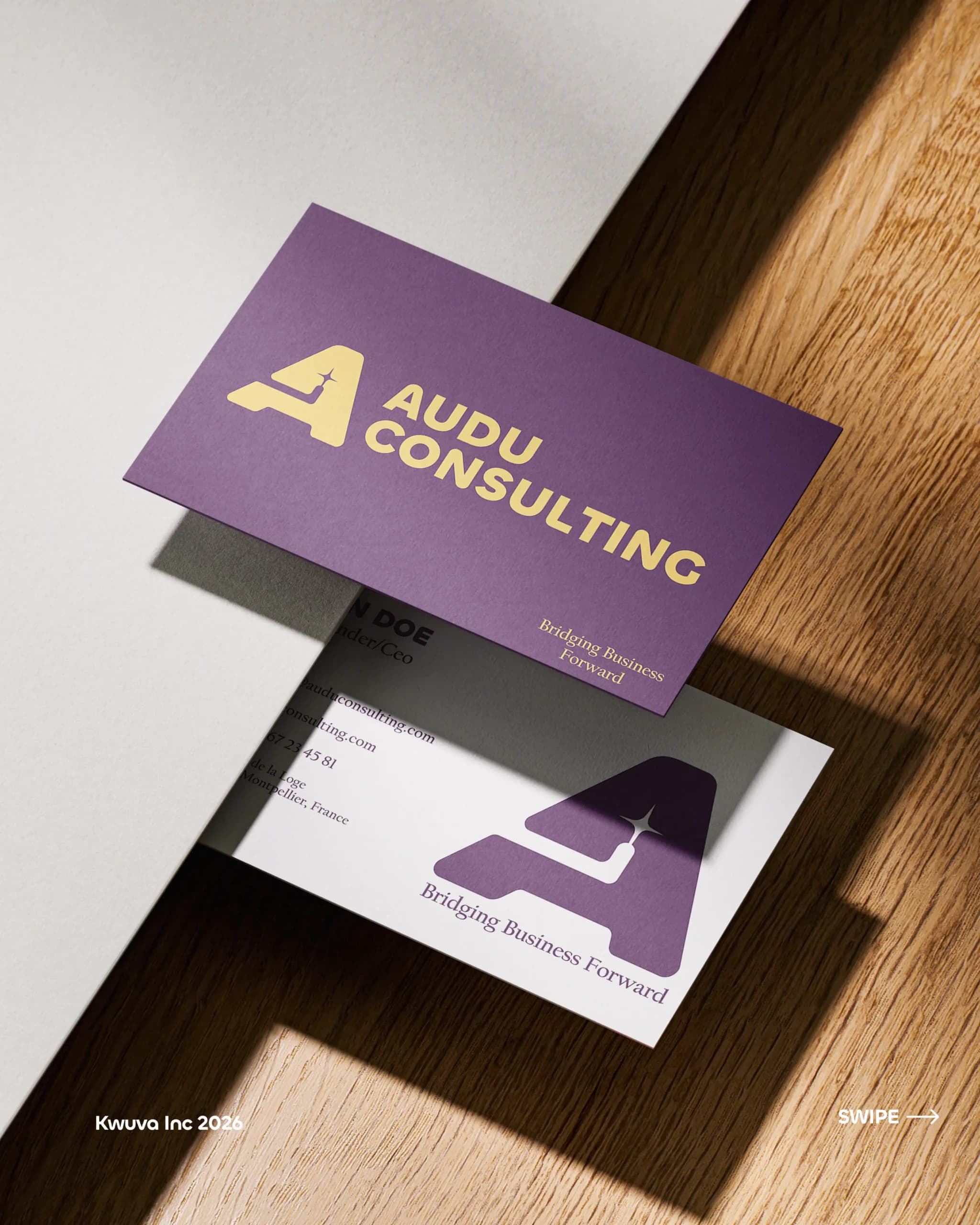 AUDU Consulting business cards