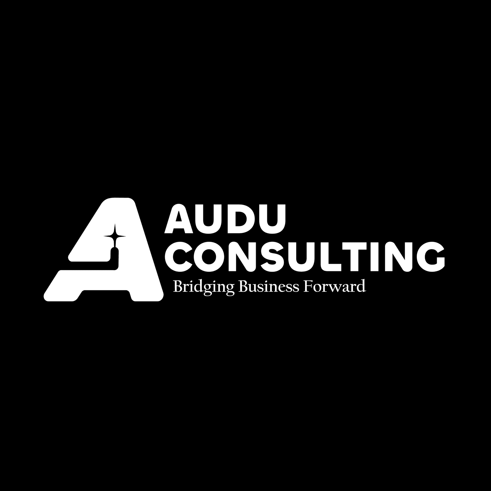 AUDU Consulting full logo in white on black